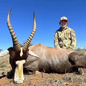 Blesbok Hunt South Africa