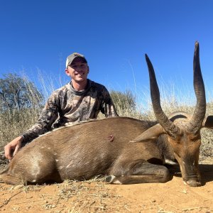 Bushbuck Hunt South Africa