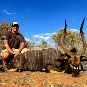 Nyala Hunting South Africa