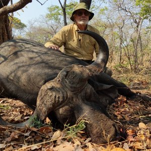 Buffalo Hunt Tanzania