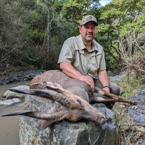 Bushbuck Hunt South Africa