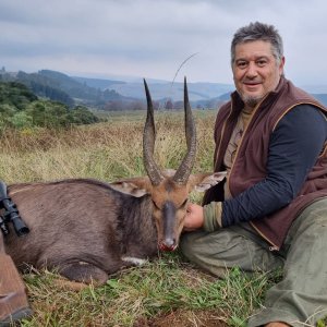 Bushbuck Hunt KwaZulu Natal South Africa