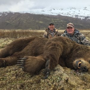 Brown Bear Hunting