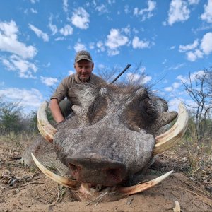 Warthog Hunt Botswana