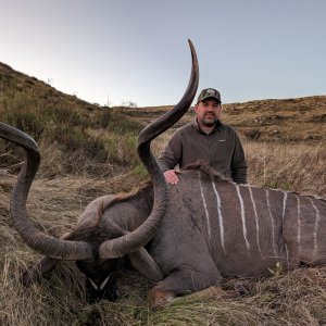 Kudu Hunt South Africa