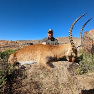 Lechwe Hunt South Africa