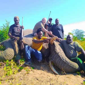 Elephant Hunt Zimbabwe