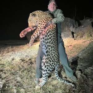 Leopard Hunt Namibia