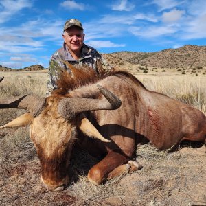 Golden Wildebeest Hunting Eastern Cape South Africa