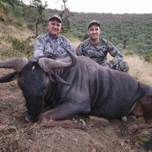 Black Wildebeest Hunting Eastern Cape South Africa