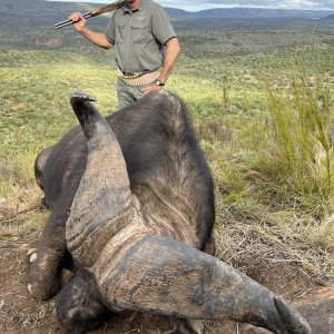 Buffalo Hunt South Africa