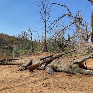 Crocodile Hunt South Africa