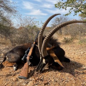 Sable Hunt South Africa