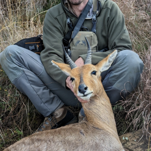 Mountain Reedbuck Hunt South Africa