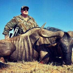 Blue Wildebeest Crossbow Hunt