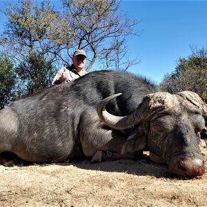 Buffalo Hunt South Africa