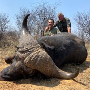 Buffalo Hunting North West Province South Africa