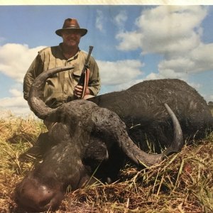 Buffalo Hunting Mozambique