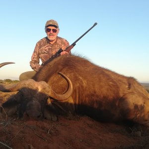 Buffalo Cow Hunting