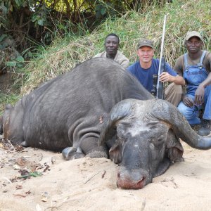 Buffalo Hunting Mozambique