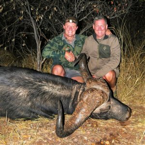 Buffalo Hunting South Africa