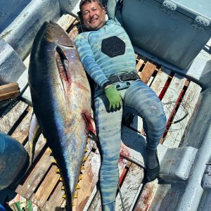 Yellowfin Tuna Fishing