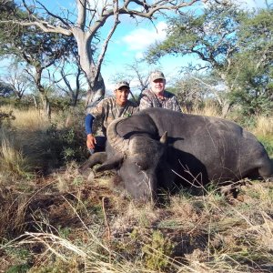 Hunting Asian Water Buffalo Argentina