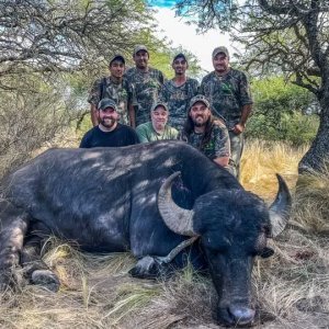 Hunting Asian Water Buffalo Argentina