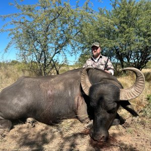 Hunting Asian Water Buffalo Argentina