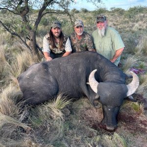 Hunting Asian Water Buffalo Argentina