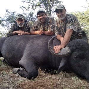 Hunting Asian Water Buffalo Argentina