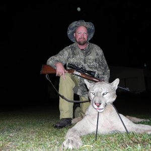 Mountain Lion Hunt