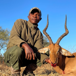 Impala Hunt Zimbabwe