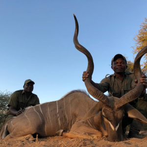 Kudu Hunt Zimbabwe