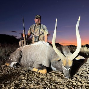 Nyala Hunt South Africa