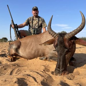 Tsessebe Hunt South Africa