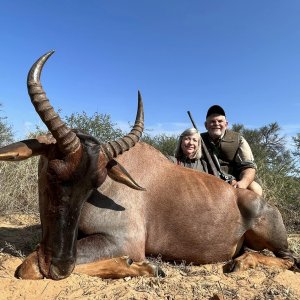 Tsessebe Hunt South Africa