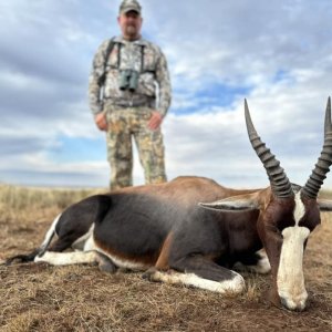 Blesbok Hunt South Africa