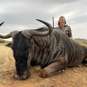 Blue Wildebeest Hunt South Africa