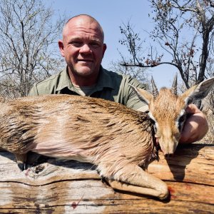 Dik Dik Hunt Tanzani