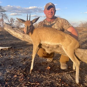 Duiker Hunt Tanzania