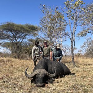 Buffalo Hunt Tanzania