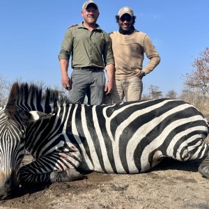 Zebra Hunt Tanzania