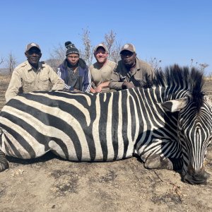 Zebra Hunt Tanzania