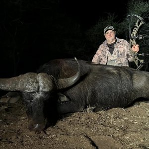 Buffalo Bow Hunt