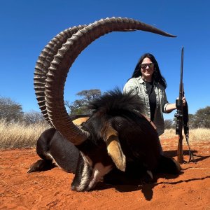 Sable Hunt South Africa