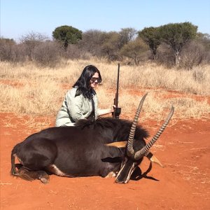 Sable Hunt South Africa