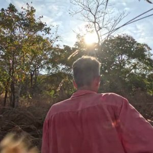 Hunting Hounds Track, Trail And Tree An African Leopard