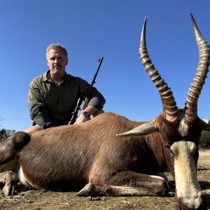 Blesbok Hunt South Africa