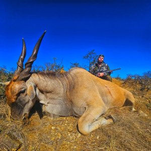 Eland Hunt South Africa